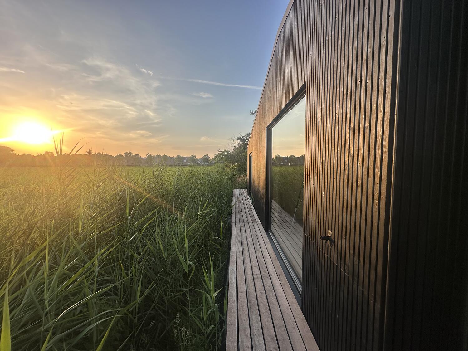 De zwarte gevel van het huis in gouden avondlicht, met vlonder en rietveld