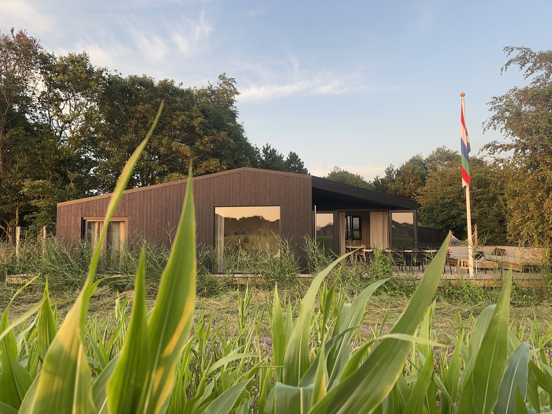 Het zwarte vakantiehuis aan de rand van het weiland