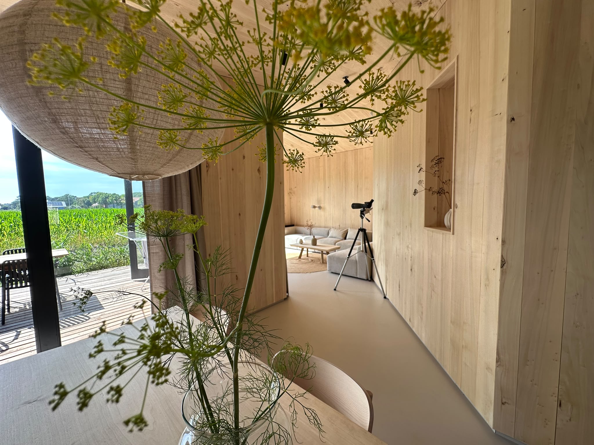 Interieur van Aanwaaien met houten wanden, bloemen en uitzicht op het rietveld